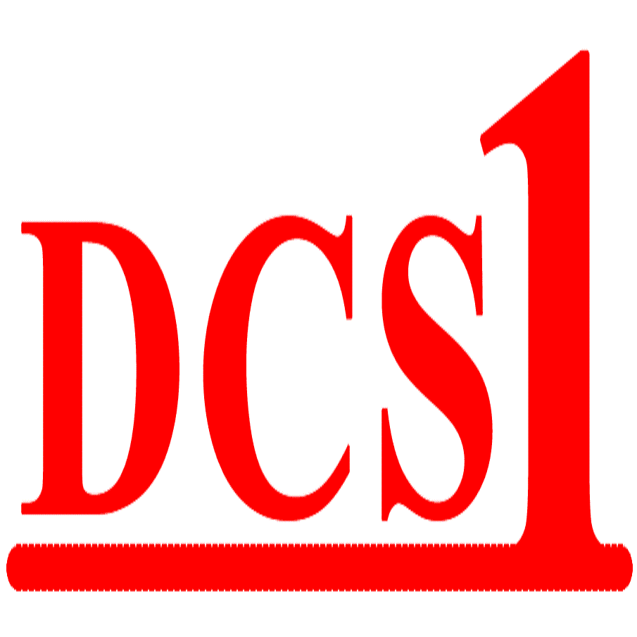 DCS1 - IT in the service of Business